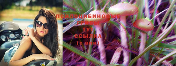 прущая мука Алзамай