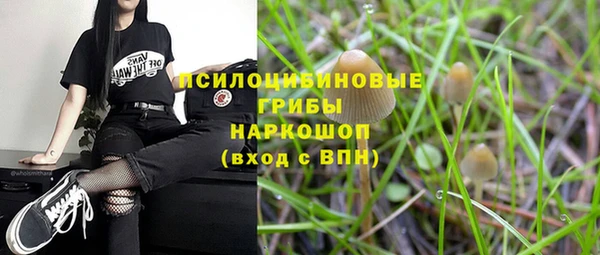 прущая мука Алзамай