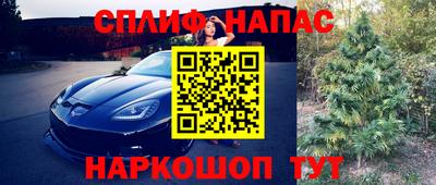 гашик Краснознаменск