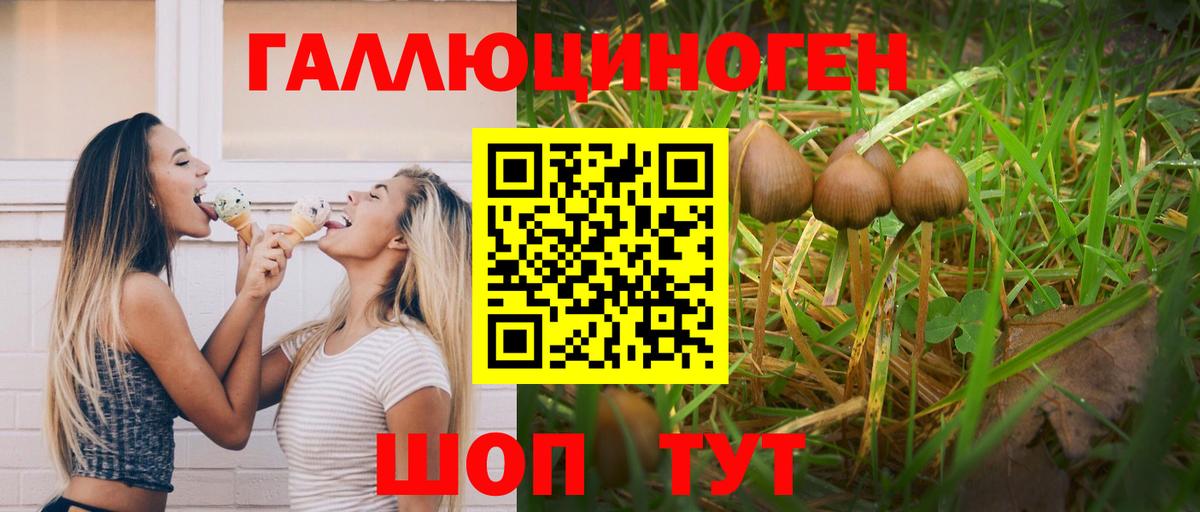 Галлюциногенные грибы GOLDEN TEACHER Карачаевск