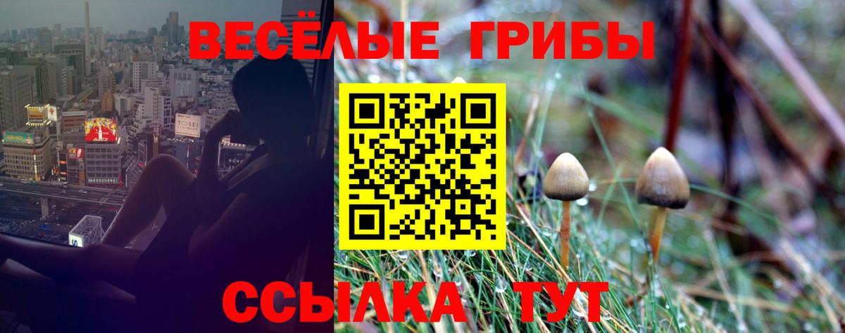 Карачаевск  Галлюциногенные грибы MAGIC MUSHROOMS  где найти наркотики  Вход с VPN 