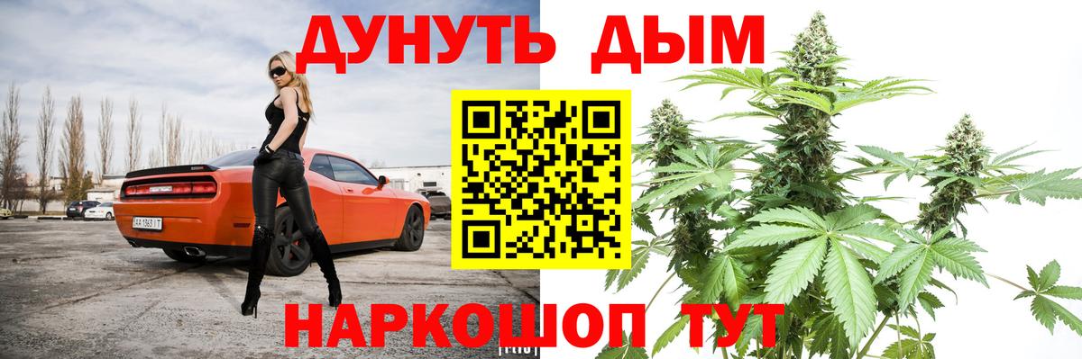 Конопля SATIVA & INDICA Карачаевск